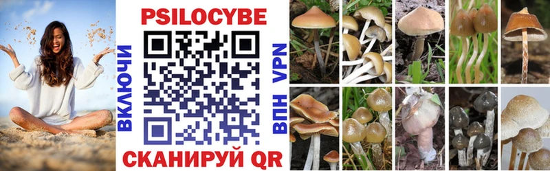 закладка  Саяногорск  Псилоцибиновые грибы MAGIC MUSHROOMS 